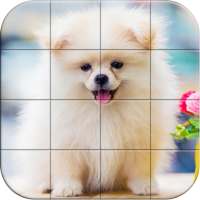 Tile Puzzle Pomeranian Dogs