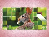 Little Animal Puzzles - Drag & Swap Screen Shot 20