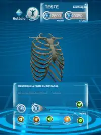 Dr. Anatomia Screen Shot 2