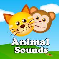 des sons d'animaux