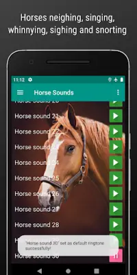 Horse Sounds and Ringtone free Screen Shot 3