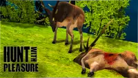 Deer Hunting Season Sniper Hunter 3D 2018 Screen Shot 5