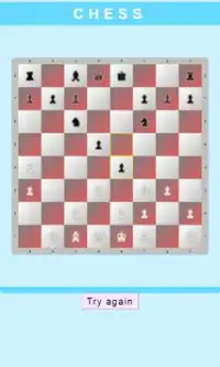 Chess Board Master Screen Shot 1