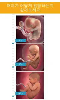 오늘의 임신 정보 Screen Shot 1