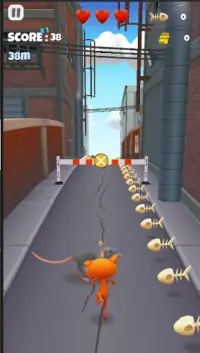 Tom Run - Talking Tom Hero Dash 3D Game Screen Shot 1