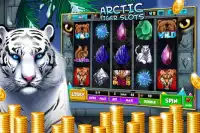 Arctic Tiger Slots Screen Shot 1