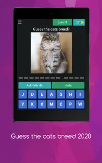 Cat Quiz - Guess The Cat Breed 2020 Screen Shot 10