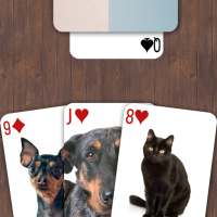 Animals Durak Cards Game