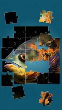 Sea Life Jigsaw Puzzles Screen Shot 3