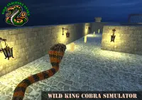 Real Anaconda Snake Maze Run 2021 Screen Shot 13