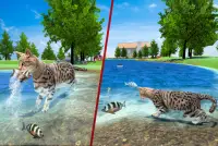Cat Family Simulator: Life of Wild Cat Screen Shot 3