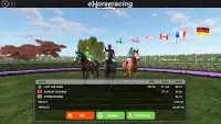 eHorseracing.com Race Viewer Screen Shot 4