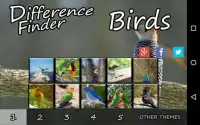 Difference Finder Birds Screen Shot 2