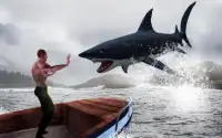 Open Shark Hunting Screen Shot 3