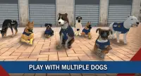 Poliziotto Dog Simulator 2017 Screen Shot 3