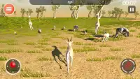 Hyena Game 3D - Safari Animal Simulator Screen Shot 6