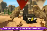 Super Toon Parking Rally 2015 Screen Shot 3