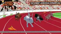 Rabbit Racing Adventure 3D Screen Shot 0