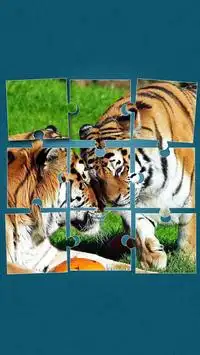 Tiger Puzzle-Spiele Screen Shot 5