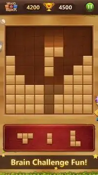 Wood Block Puzzle Screen Shot 6