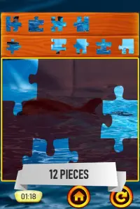 Dolphin Jigsaw Puzzle Screen Shot 3