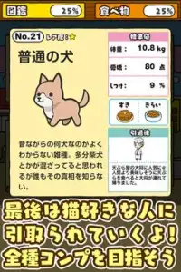 いぬにわ~犬をお庭で育てよう~ Screen Shot 4