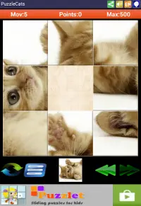 Sliding Puzzle Cats Screen Shot 11