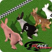 Rabbit Racing Adventure 3D
