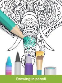 2020 for Animals Coloring Books Screen Shot 9