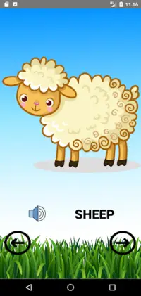 Learn Animals  Name, Sounds, Pictures Screen Shot 9