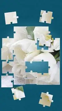 꽃 퍼즐 지그소 퍼즐 게임 Screen Shot 4