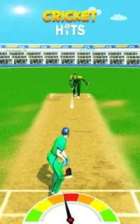 Cricket Hits Screen Shot 0