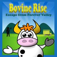 Bovine Rise