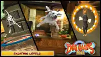 Игры для собак 2018 - Бесплатный симулятор собак Screen Shot 5