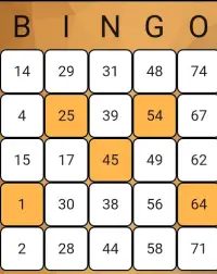 Play Bingo Screen Shot 4