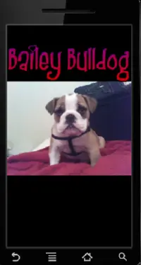Bailey Bulldog Pictures Screen Shot 1