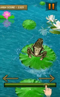 Frog Jumping Mania Screen Shot 2