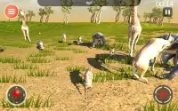 Hyena Game 3D - サファリ動物シミュレータ Screen Shot 18