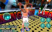 Royal Wrestling Cage: Sumo Fighting Game Screen Shot 6