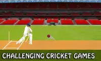 Cricket Game T20 2017 Free Screen Shot 0