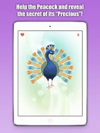 Peacock Darts - Pin the Bird Screen Shot 6