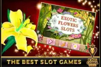 Exotic Flowers Slots Screen Shot 4