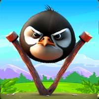 Angry Penguin Heroe