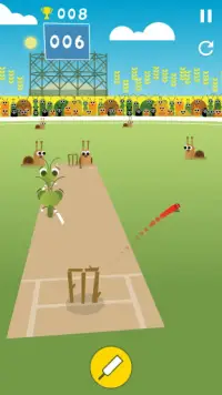 Doodle Bug Cricket Screen Shot 4