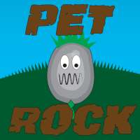 Pet Rock