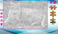 จิ๊กซอว์ขนาดใหญ่ที่มีแมว Screen Shot 4