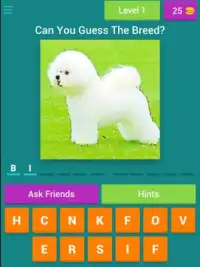 Guess The Dog Breeds Most Popular Dog Breeds Quiz Screen Shot 6