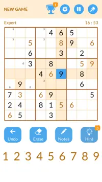 Sudoku Sage Screen Shot 0