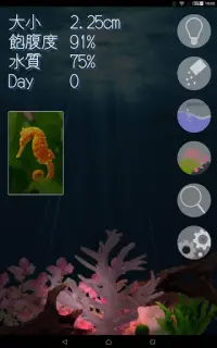 Seahorse Diary Screen Shot 6