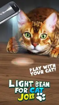 Lichtstrahl für Katzen-Witz Screen Shot 0